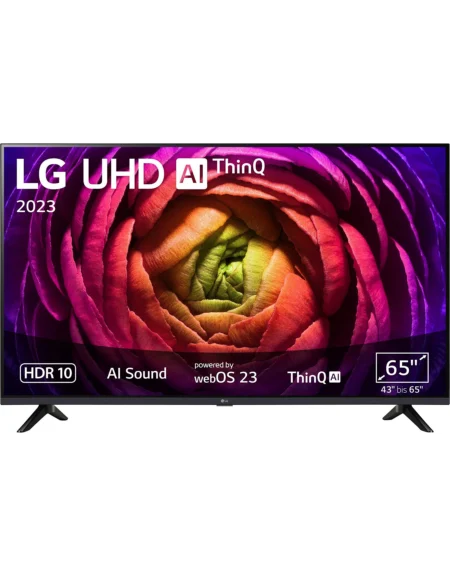 LG 65UR73006LA LCD-LED Fernseher